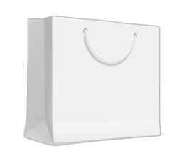 Paper Bag photo